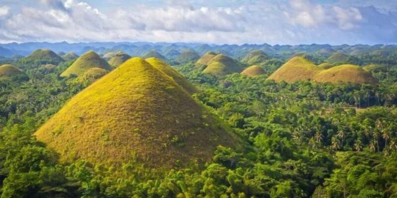 From Cebu: Full-Day Bohol Excursion - Pickup and Accessibility