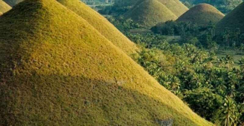 From Cebu: Full-Day Bohol Excursion - Itinerary Highlights