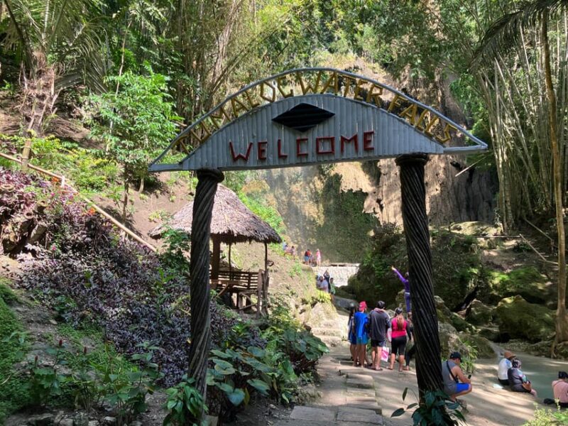 From Cebu: Oslob Whale Shark Snorkeling & Tumalog Waterfall - Age and Insurance Restrictions