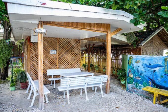 From Cebu: Oslob Whale Shark Snorkeling & Tumalog Waterfall - Booking and Cancellation Policy
