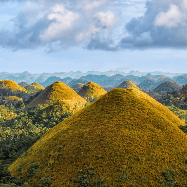 From Cebu:Chocolate Hills & Tarsier W Lunch at Loboc Joiners - Key Points