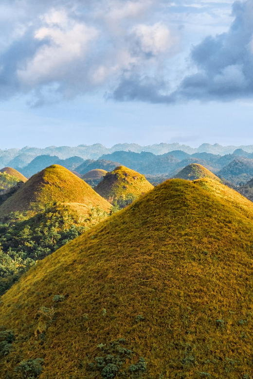 From Cebu:Chocolate Hills & Tarsier W Lunch at Loboc Joiners - Loboc River Cruise