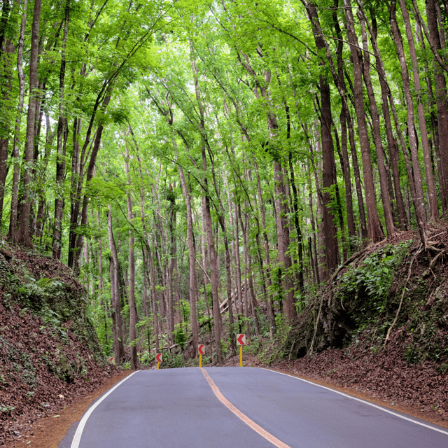 From Cebu:Chocolate Hills & Tarsier W Lunch at Loboc Joiners - Frequently Asked Questions