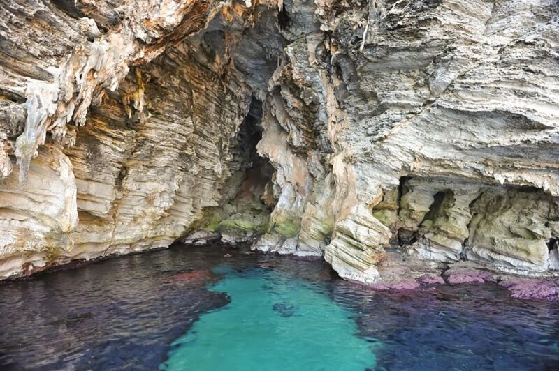 From Cefalù: Catamaran Excursion to Zingaro and Scopello - Inclusions and What to Bring