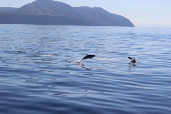 From Cefalù: Salina, Panarea, Stromboli Tour With Boat Ride - Tour Price