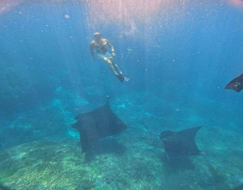 From Ceningan: Snorkeling with Manta Rays & Land Tour - An In-Depth Look at the Tour Experience