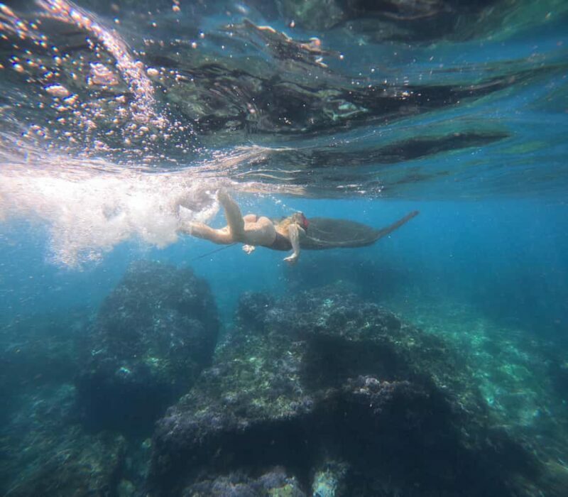 From Ceningan: Snorkeling with Manta Rays & Land Tour - The Sum Up