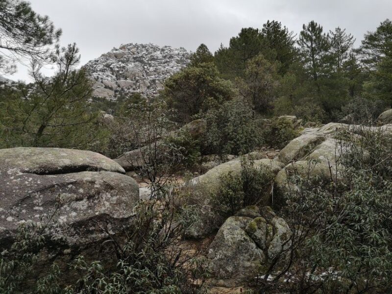 From Centro: Guadarrama National Park Private Tour - Booking Information