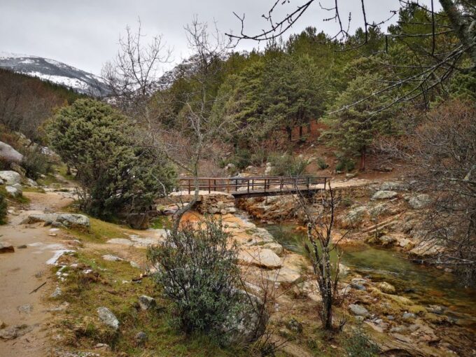 From Centro: Guadarrama National Park Private Tour - Riding a Trikke