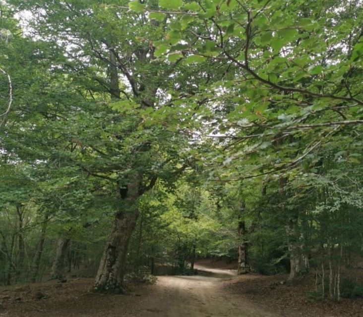 From Cesarò: Nebrodi Park by 4x4 Half-Day Trip - Key Points