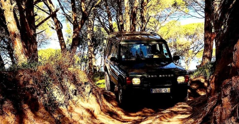 From Cesarò: Nebrodi Park by 4x4 Half-Day Trip - Highlights