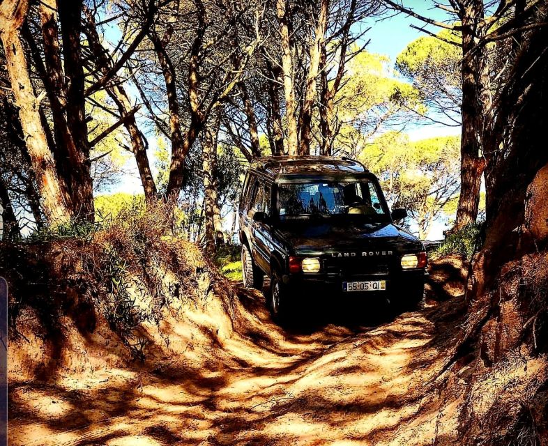From Cesarò: Nebrodi Park by 4x4 Half-Day Trip - Itinerary