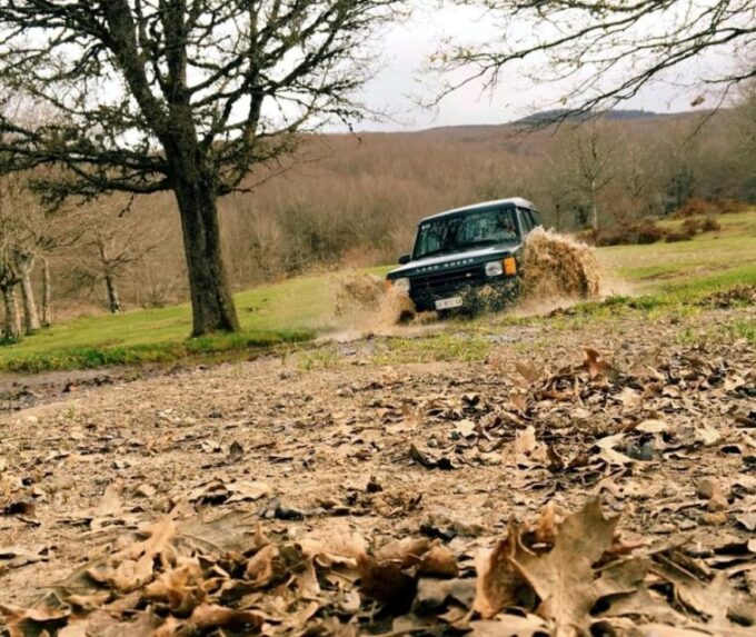 From Cesarò: Nebrodi Park by 4x4 Half-Day Trip - Nebrodi Natural Reserve