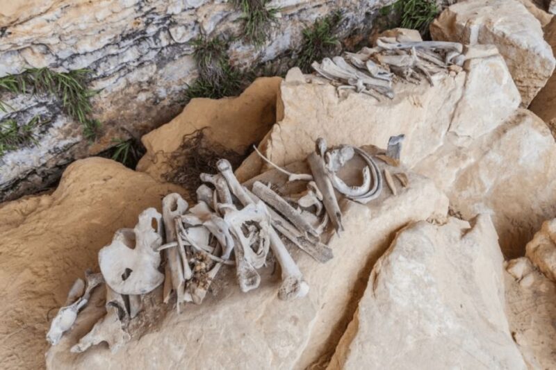 From Chachapoyas: Full-Day to the Sarcophagis of Karajia - Sarcofagos De Karajia