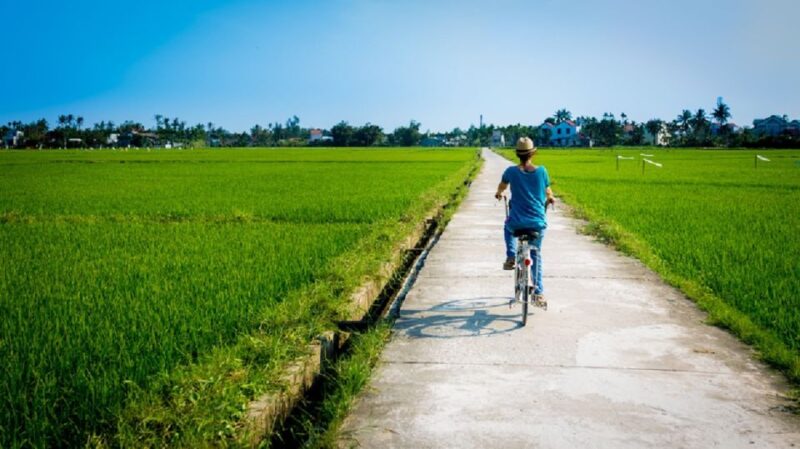 From Chan May Port: Da Nang and Hoi An Private Day Tour - Key Points