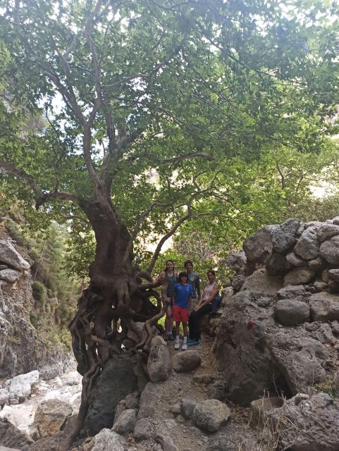 From Chania: Agia Irini Gorge Hike & Beach Relaxation - Highlights