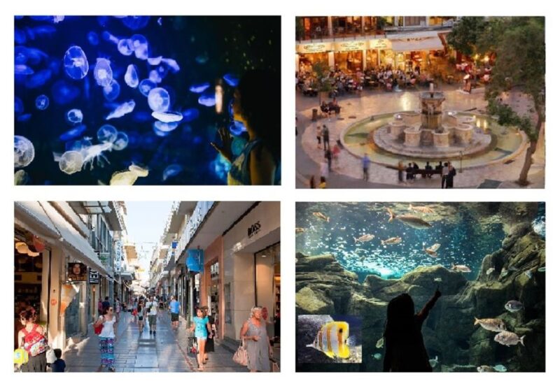 From Chania: CretAquarium, Heraklion City Tour - CretAquarium Highlights