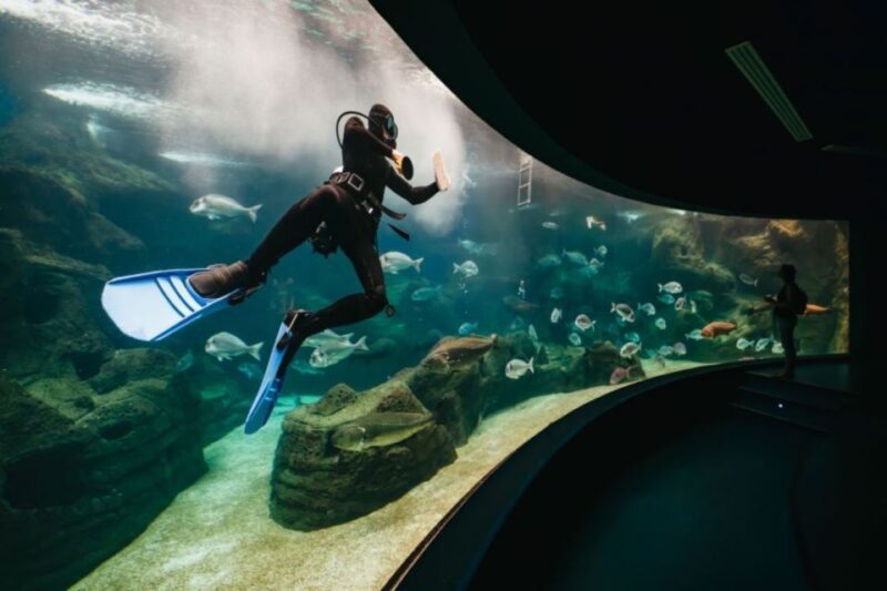 From Chania: CretAquarium, Heraklion City Tour - Cretan Cuisine and Shopping