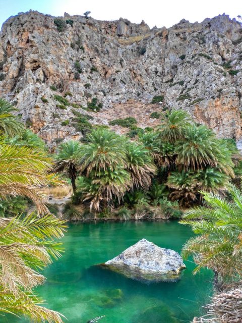 From Chania: Day Trip to Preveli Beach & Damnoni Beach - Transportation and Pickup Details
