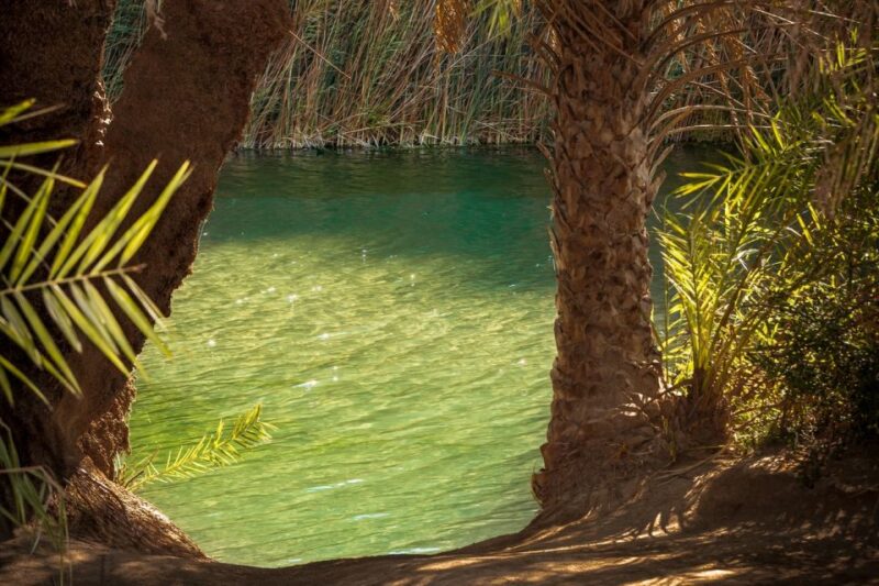 From Chania: Day Trip to Preveli Beach & Damnoni Beach - Importance of Proper Preparation