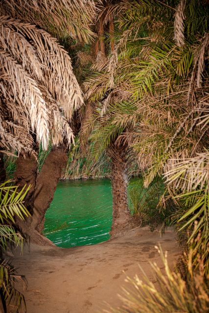From Chania: Day Trip to Preveli Beach & Damnoni Beach - Exploring Preveli Beach and Palm Forest