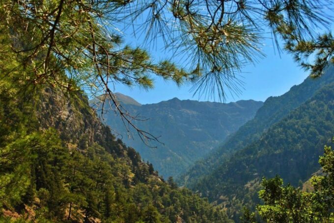 From Chania: Europes Longest Trek Through Samaria Gorge - Agia Roumeli and Return Journey
