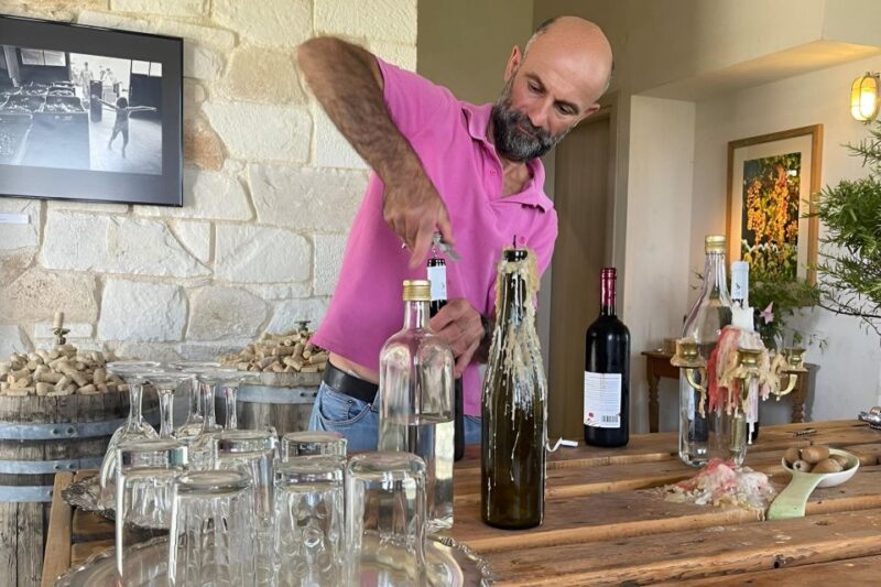From Chania: Falassarna Beach, Wine & Olive Oil Private Tour - Falassarna Beach Excursion