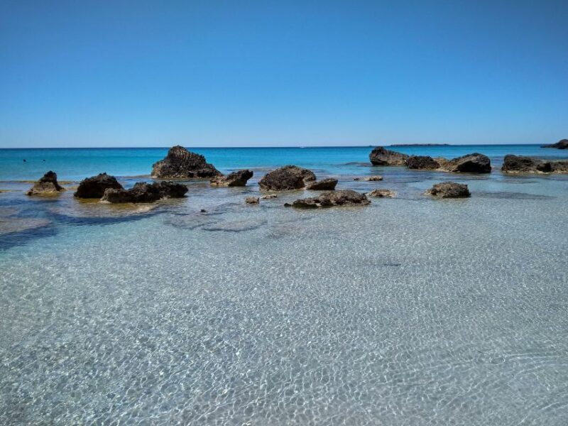 From Chania: Falassarna Beach, Wine & Olive Oil Private Tour - Olive Oil Tasting Experience