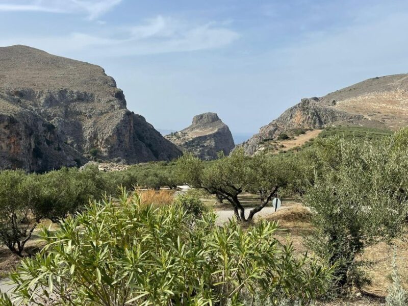 From Chania: Falassarna Beach, Wine & Olive Oil Private Tour - Pickup and Drop-off Service