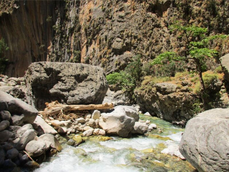 From Chania: Full-Day Samaria Gorge Trek Excursion - Overview of the Excursion
