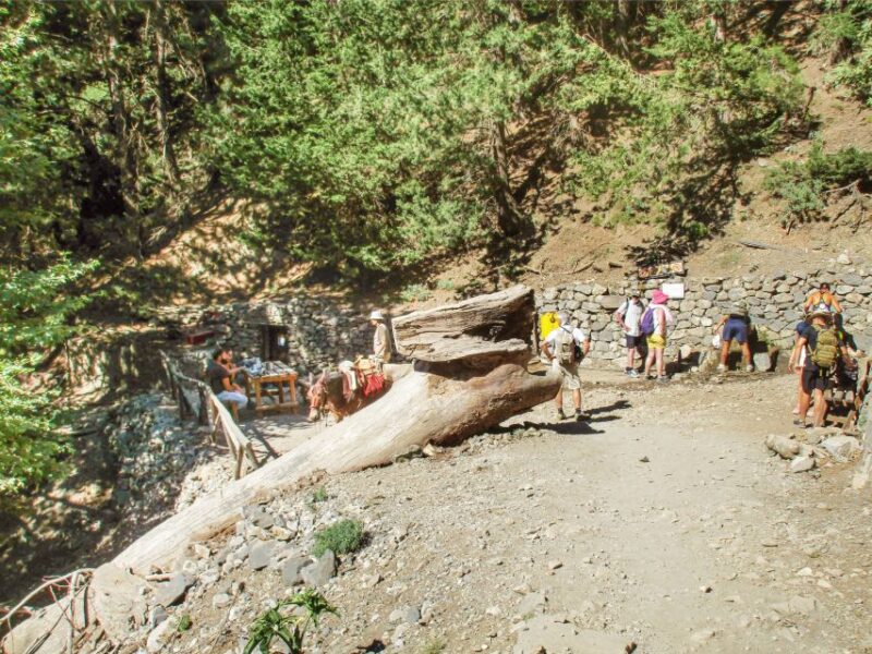 From Chania: Full-Day Samaria Gorge Trek Excursion - Exploring Agia Roumeli Village