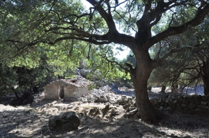 From Chania: Imbros Gorge Guided Hike and Village Visit - Hiking the Imbros Gorge