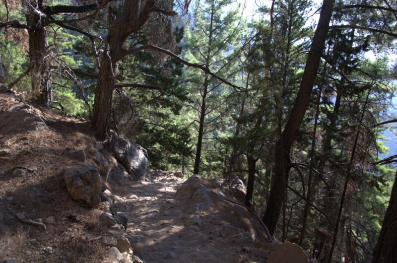 From Chania/Kalyves: Full-Day Samaria Gorge Hiking Day Trip - Customer Feedback and Ratings