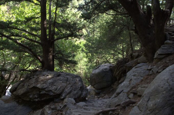 From Chania/Kalyves: Full-Day Samaria Gorge Hiking Day Trip - Pickup and Transportation