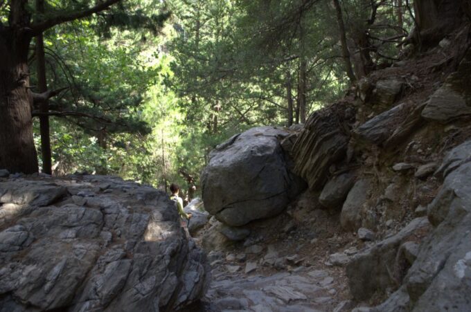 From Chania/Kalyves: Full-Day Samaria Gorge Hiking Day Trip - Hiking Trail and Duration