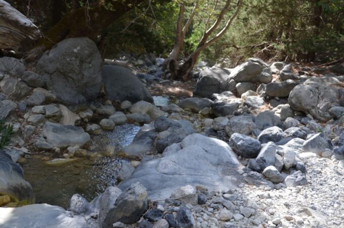 From Chania/Kalyves: Full-Day Samaria Gorge Hiking Day Trip - Local Cuisine and Amenities