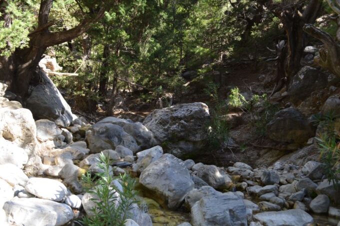From Chania/Kalyves: Full-Day Samaria Gorge Hiking Day Trip - Frequently Asked Questions