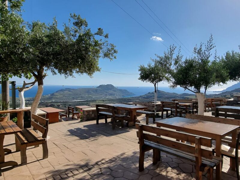 From Chania: Preveli Palm Beach and Kourtaliotis Waterfalls - Key Points