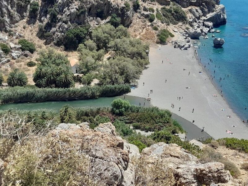 From Chania: Preveli Palm Beach and Kourtaliotis Waterfalls - Highlights and Experiences