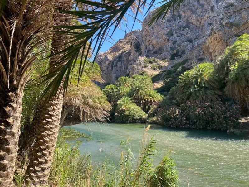 From Chania: Preveli Palm Beach and Kourtaliotis Waterfalls - Accessibility and Restrictions