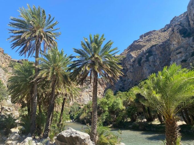 From Chania: Preveli Palm Beach and Kourtaliotis Waterfalls - Frequently Asked Questions