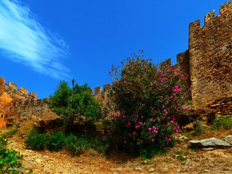 From Chania: Sfakia, Frangokastelo and Vrysses With Snacks - Tour Duration and Schedule