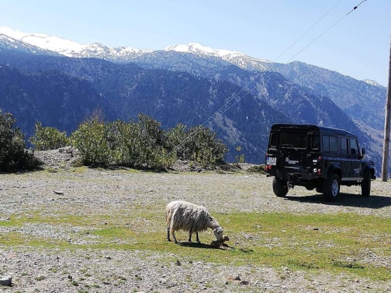 From Chania: White Mountains Land Rover Safari - Land Rover Exploration