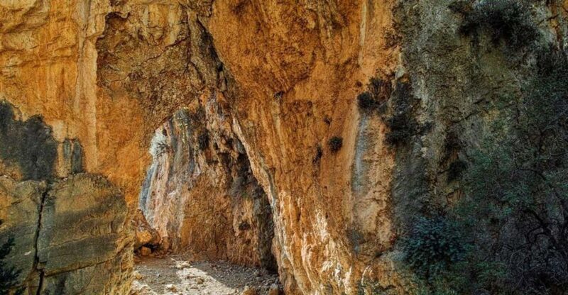 From Chania:Imbros Gorge and Sfakia Full-Day Hiking Tour - Highlights of the Tour