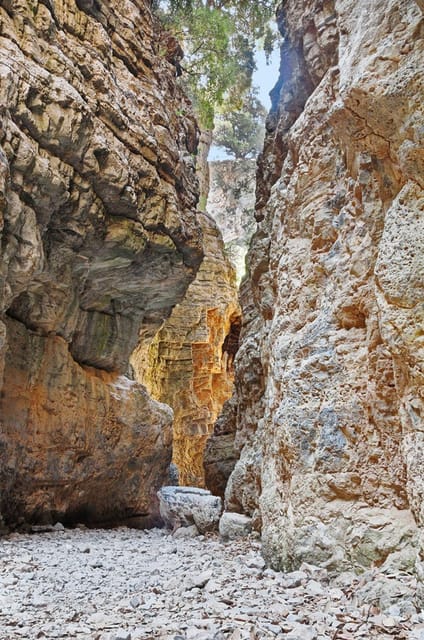 From Chania:Imbros Gorge and Sfakia Full-Day Hiking Tour - Recap