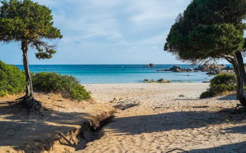 From Chia: Full-Day Tour of Sardinias Hidden Beaches - Itinerary Highlights