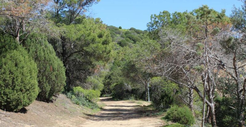 From Chia: Private Half-Day Ancient Roman Road Hiking Tour - Booking Information