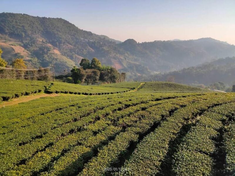 From Chiang Mai : 2 Days Chiang Rai - All Highlights - Pickup and Drop-off Locations