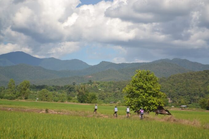 From Chiang Mai: 2 Days Cycling & Kayaking Tour in Mae Taeng - Group Size and Pricing