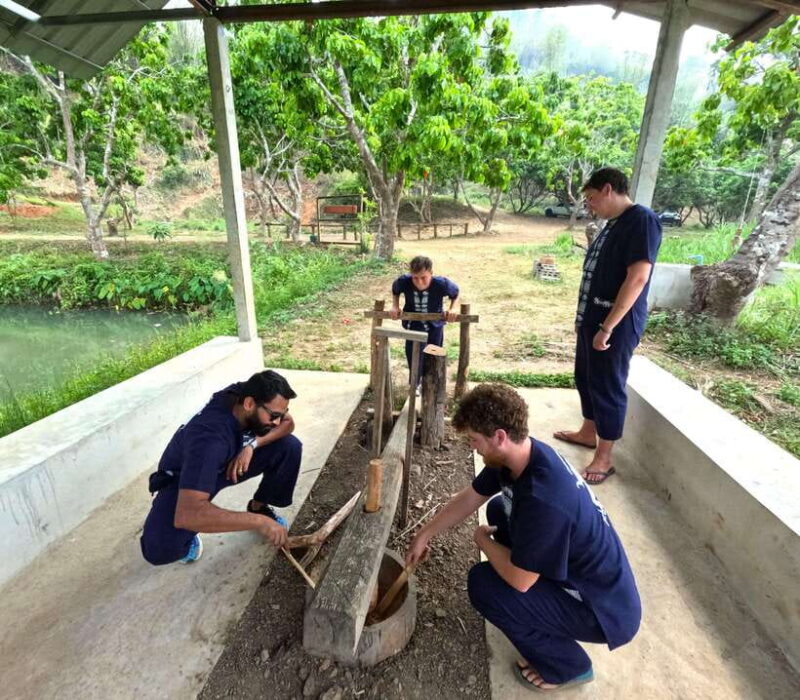 From Chiang Mai: Chiang Mai Elephant Care Morning Program - Important Information